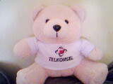 souvenir boneka teddy bear kecil
